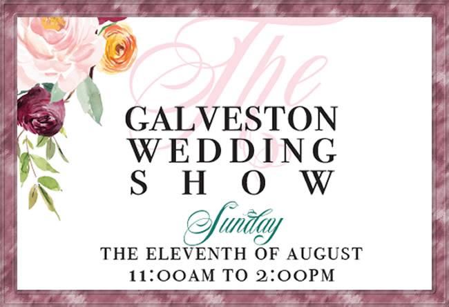 Wedding Show 2019